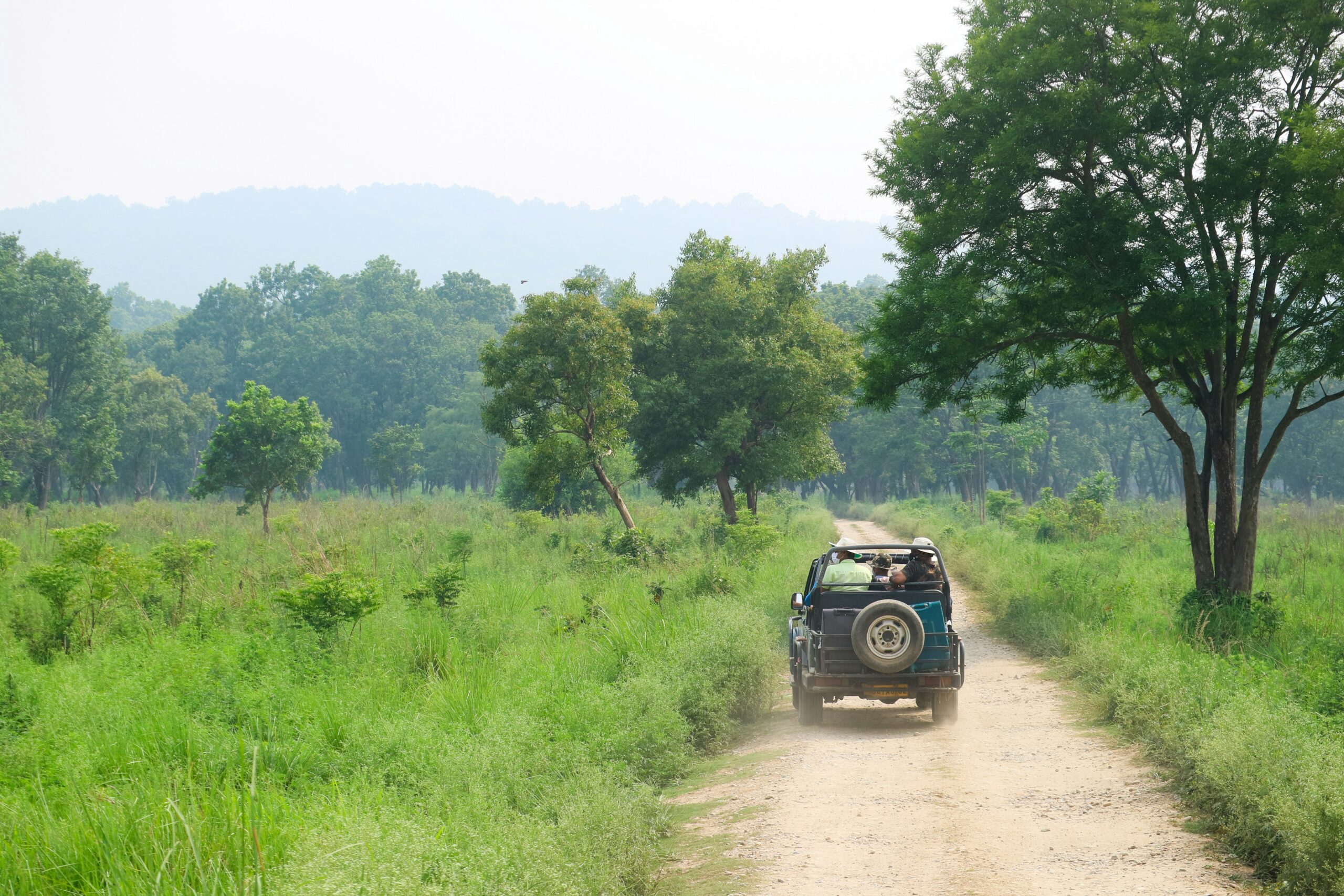 Rajaji national park