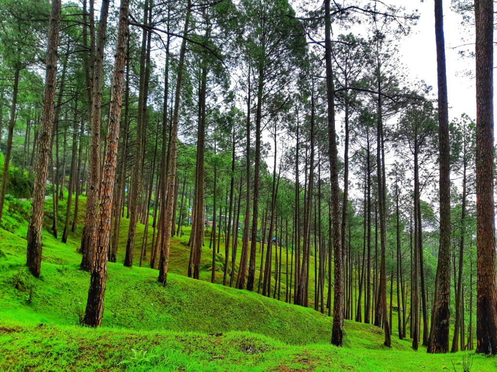 Ecotourism – Unreal Uttarakhand