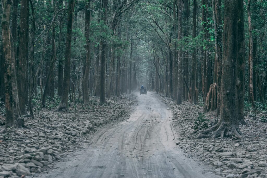 jim corbett national park
